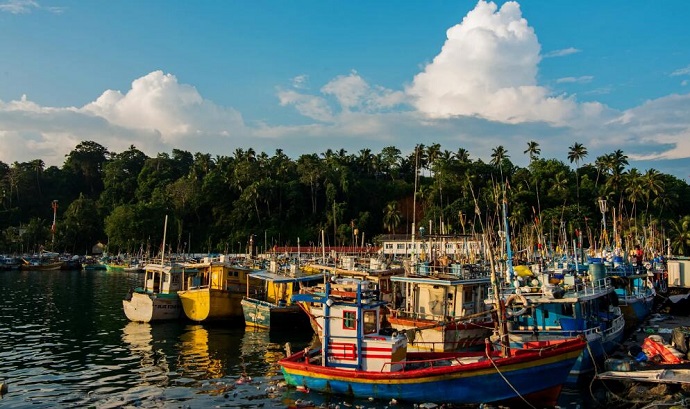 注冊(cè)斯里蘭卡公司