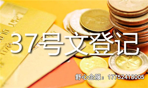 37號(hào)文登記全流程